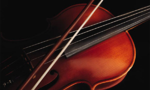 violin
