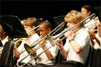 sunshine jazz festival